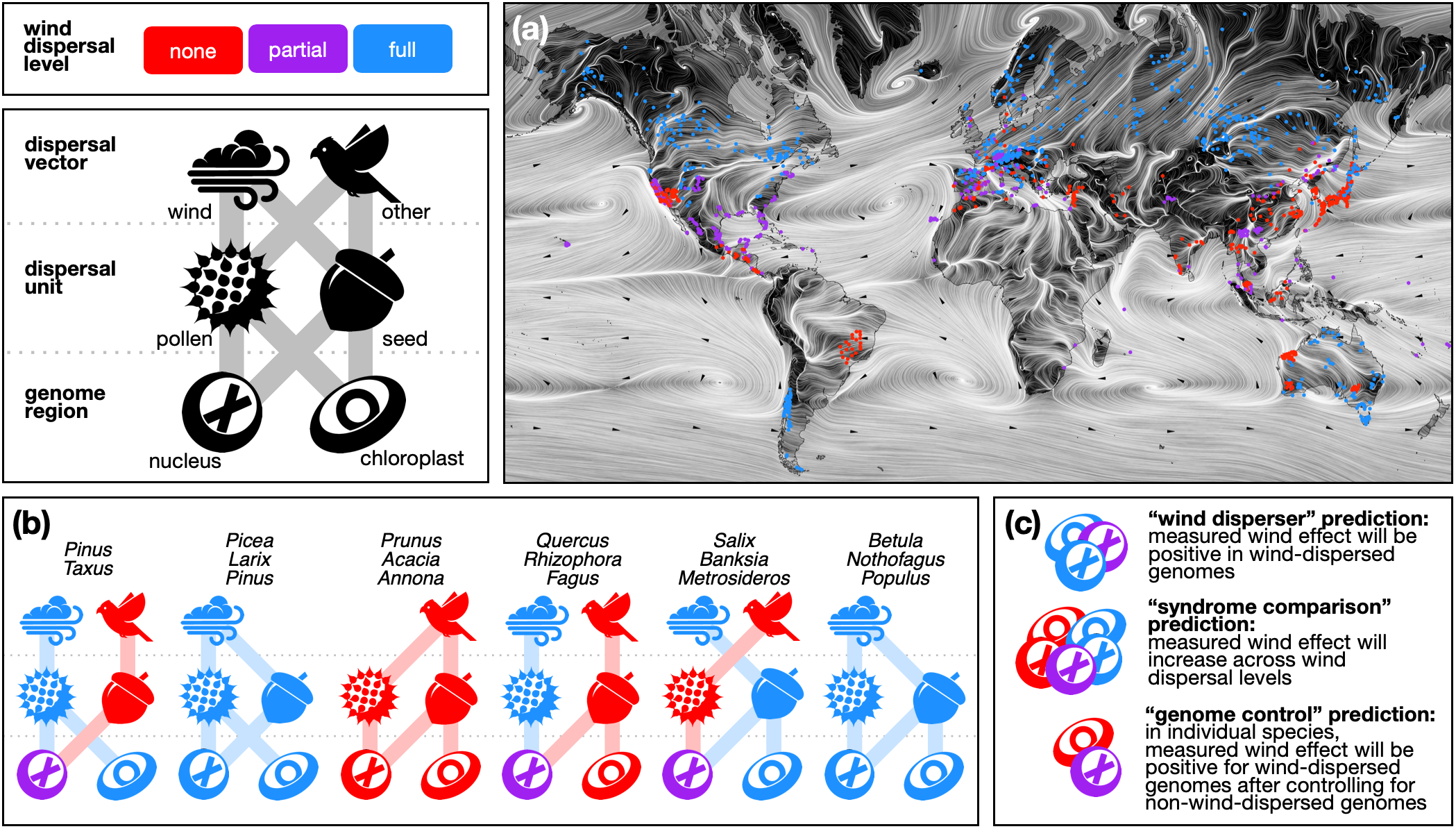 PNAS figure 2